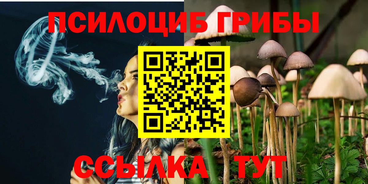 Галлюциногенные грибы GOLDEN TEACHER  Вход с VPN  Псилоцибиновые грибы Magic Shrooms  купить закладку  Ставрополь 